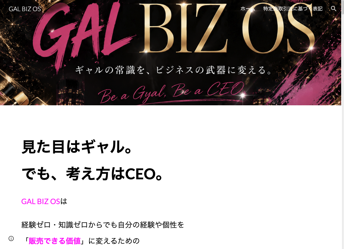 GAL BIZ OS LP